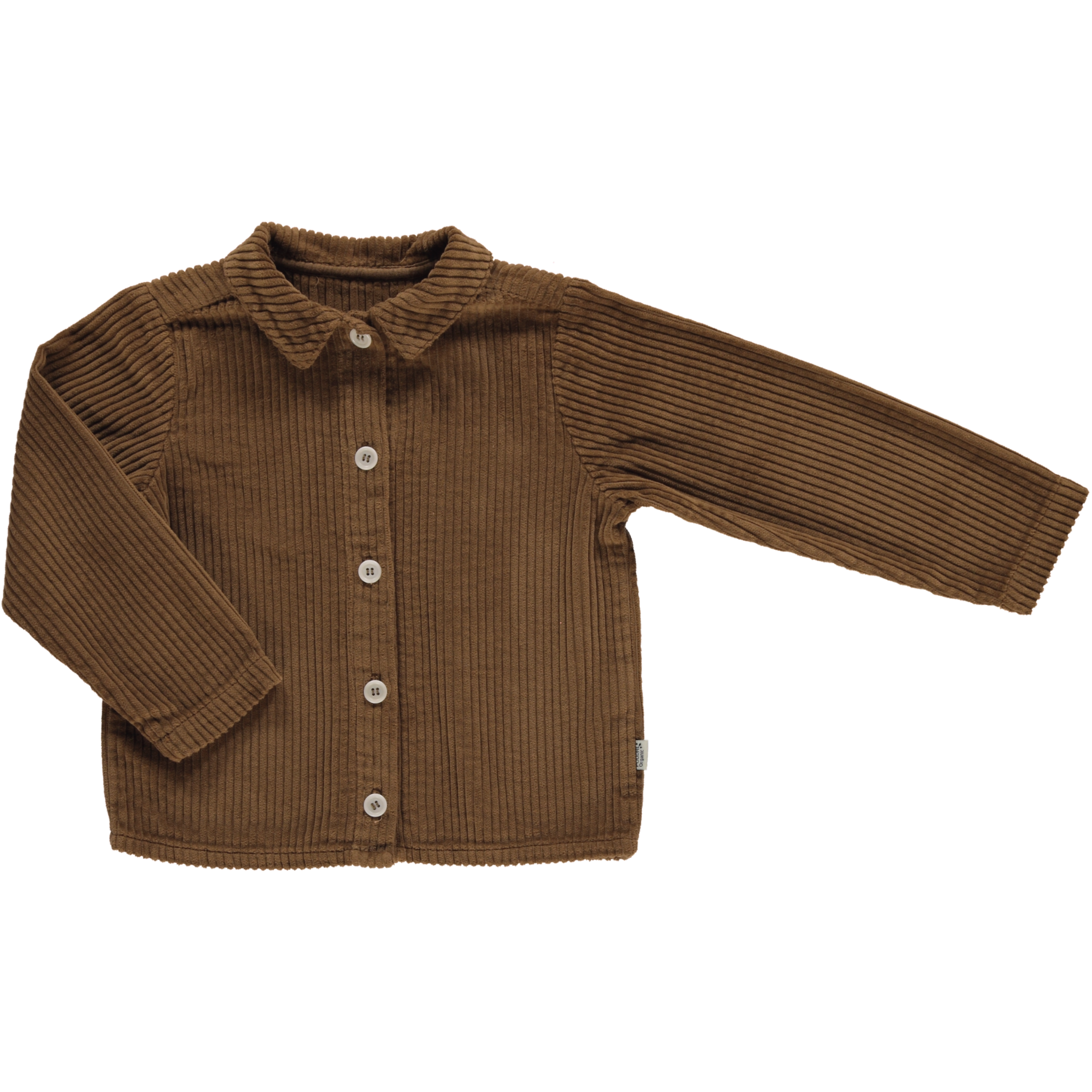 poudre organic BLOUSE BELLADONE VELOURS CÔTELÉ Nuthatch