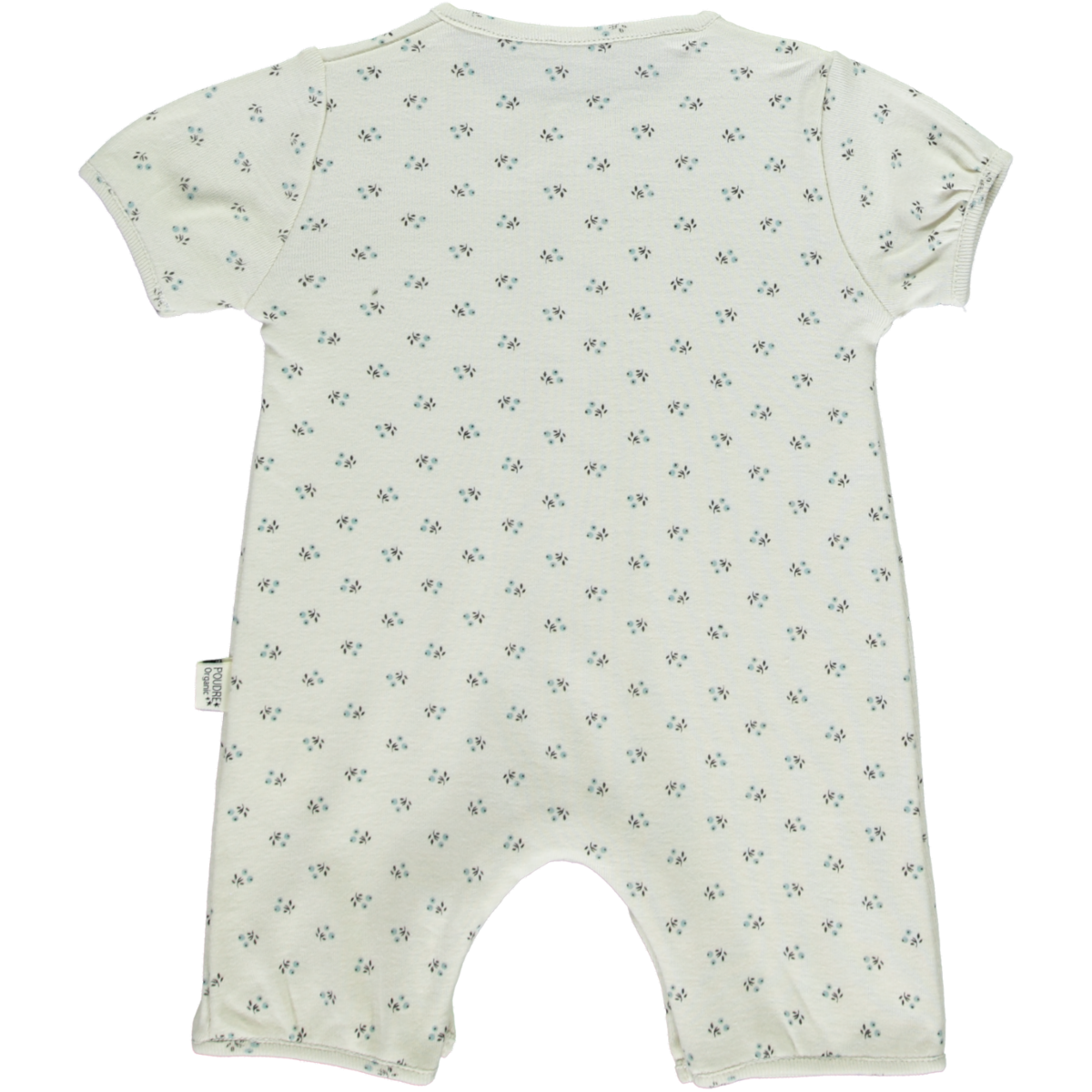 Poudre Organic COMBICOURT FENOUIL Hors Saison Blue Surf