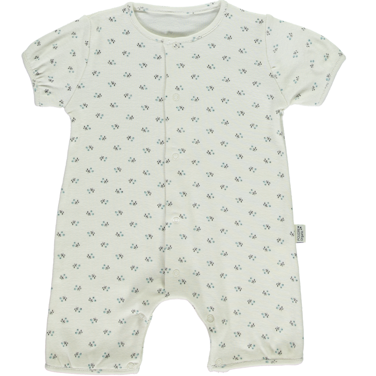 poudre organic COMBICOURT FENOUIL Hors Saison Blue Surf