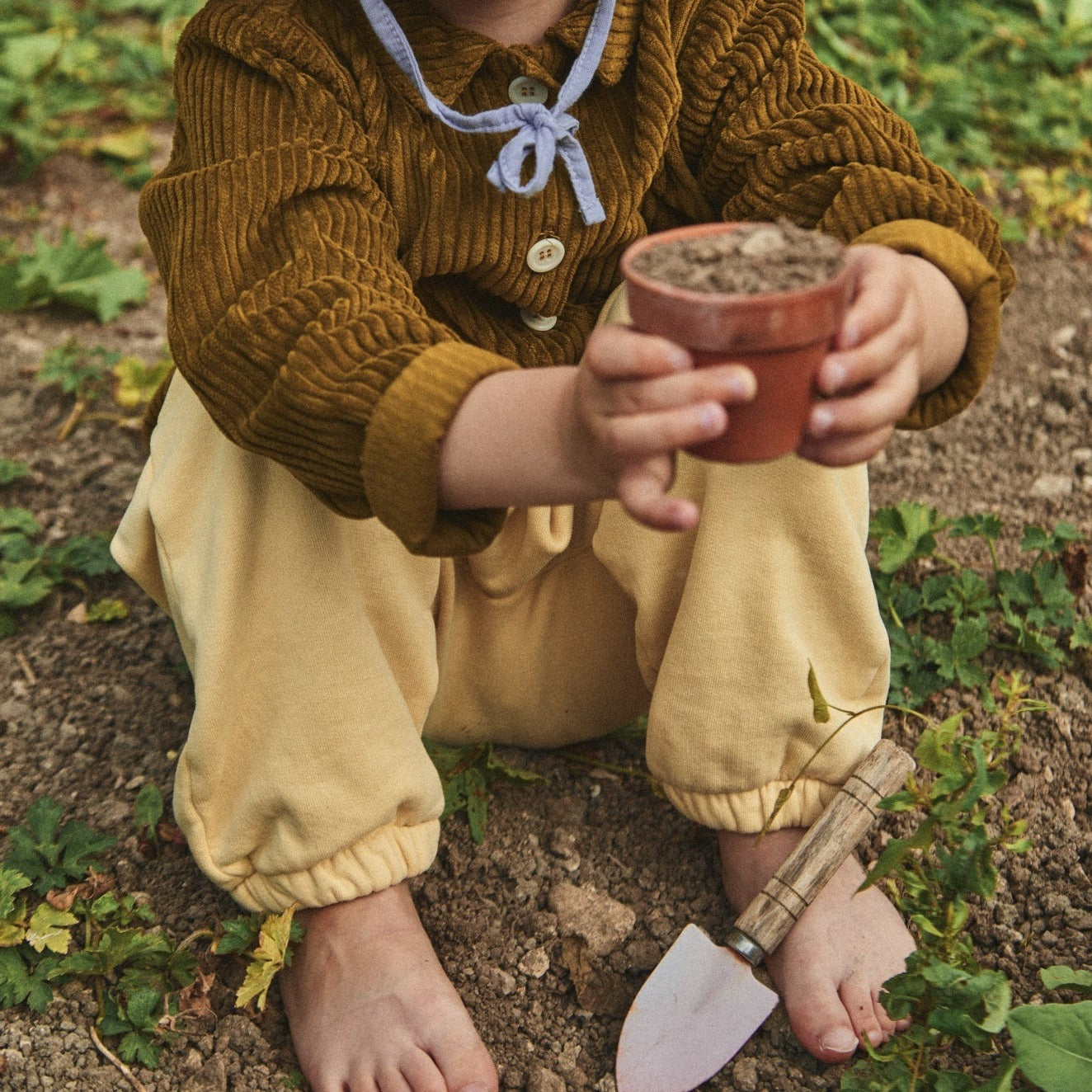 Poudre Organic PANTALON CANNELLE MOLLETON Sahara Sun