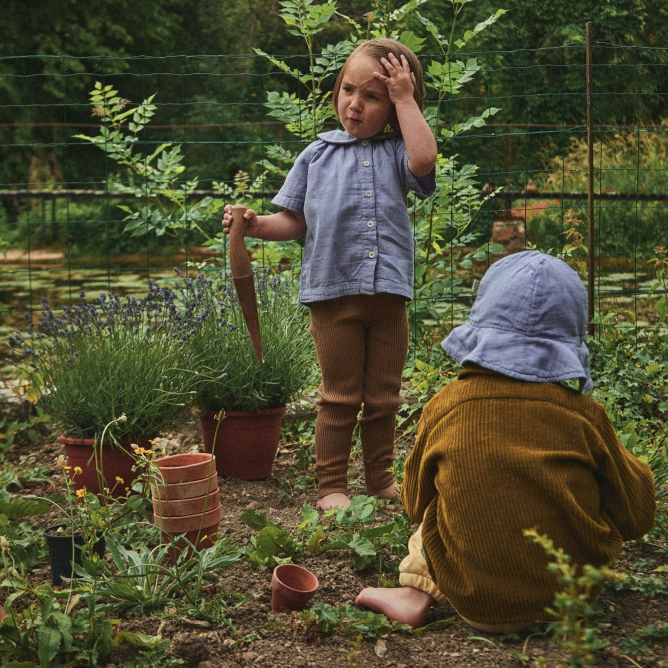 Poudre Organic BLOUSE ANCOLIE Lavender Aura