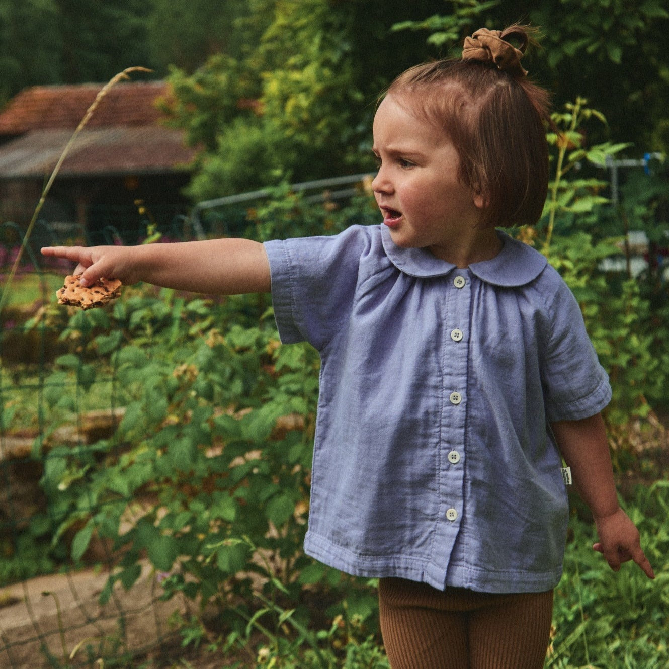 Poudre Organic BLOUSE ANCOLIE Lavender Aura
