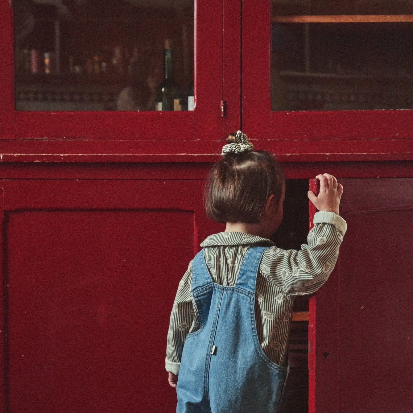 Poudre Organic BLOUSE FLEUR Fleurs Roses