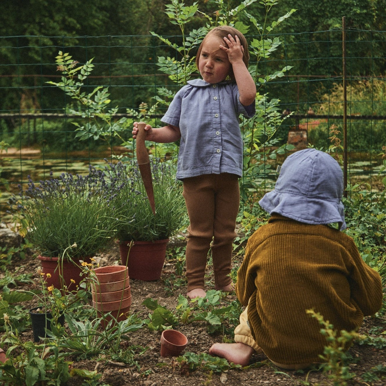 Poudre Organic CHAPEAU PIVOINE Lavender Aura