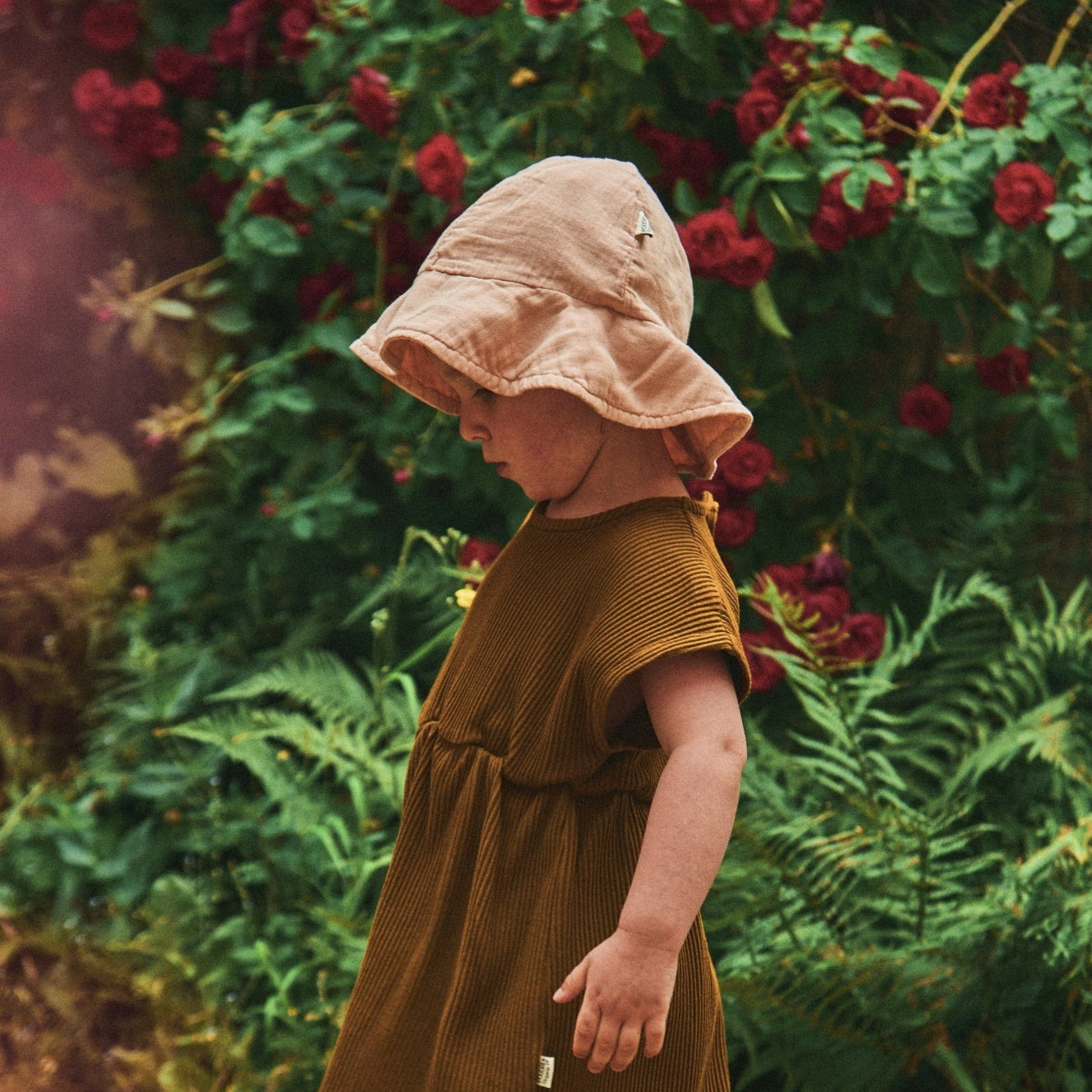 Poudre Organic CHAPEAU PIVOINE Toasted Almond