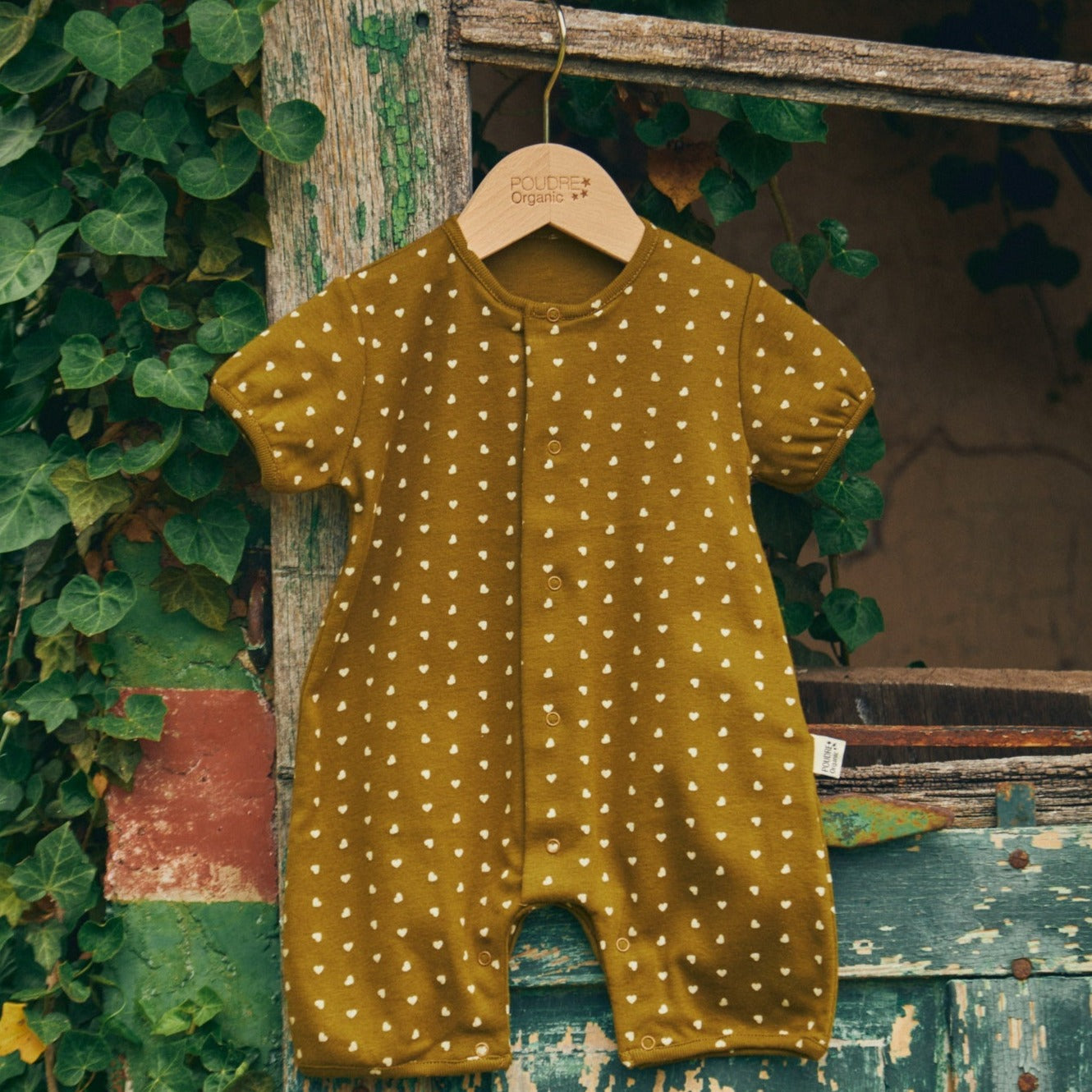 Poudre Organic COMBICOURT FENOUIL Coeurs Fir Green