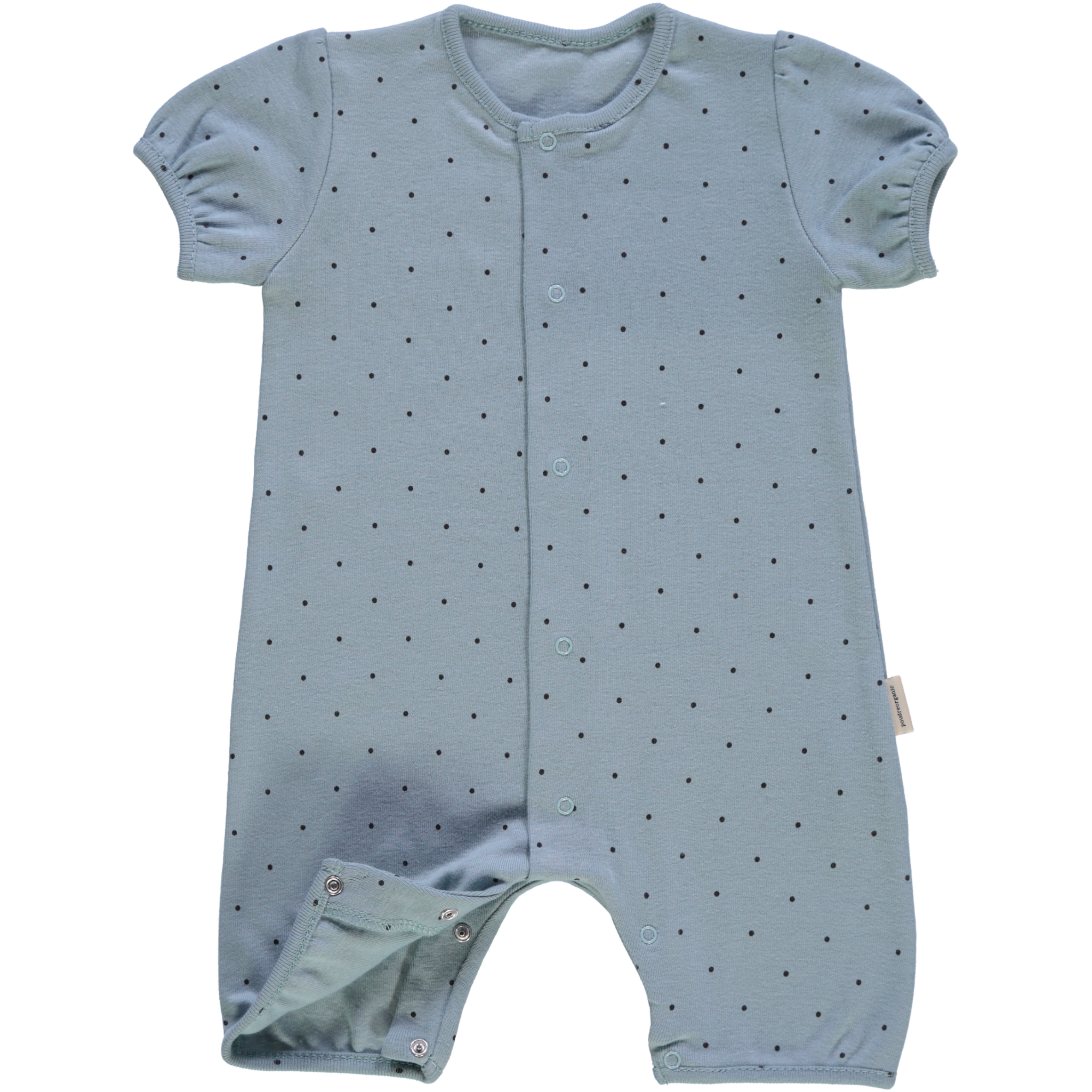 Poudre Organic COMBICOURT FENOUIL Points Arona