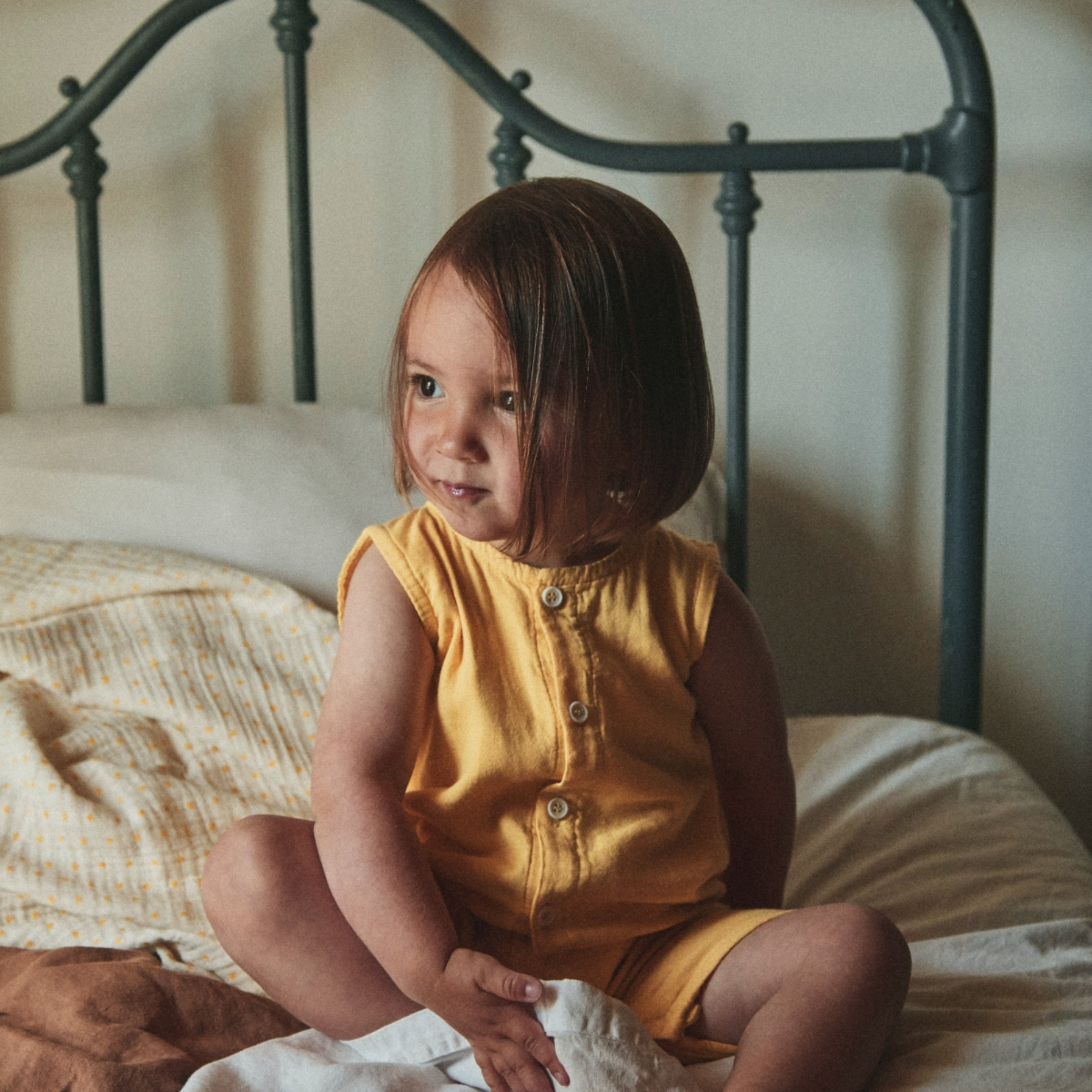 Poudre Organic COMBICOURT POIVRE Mimosa