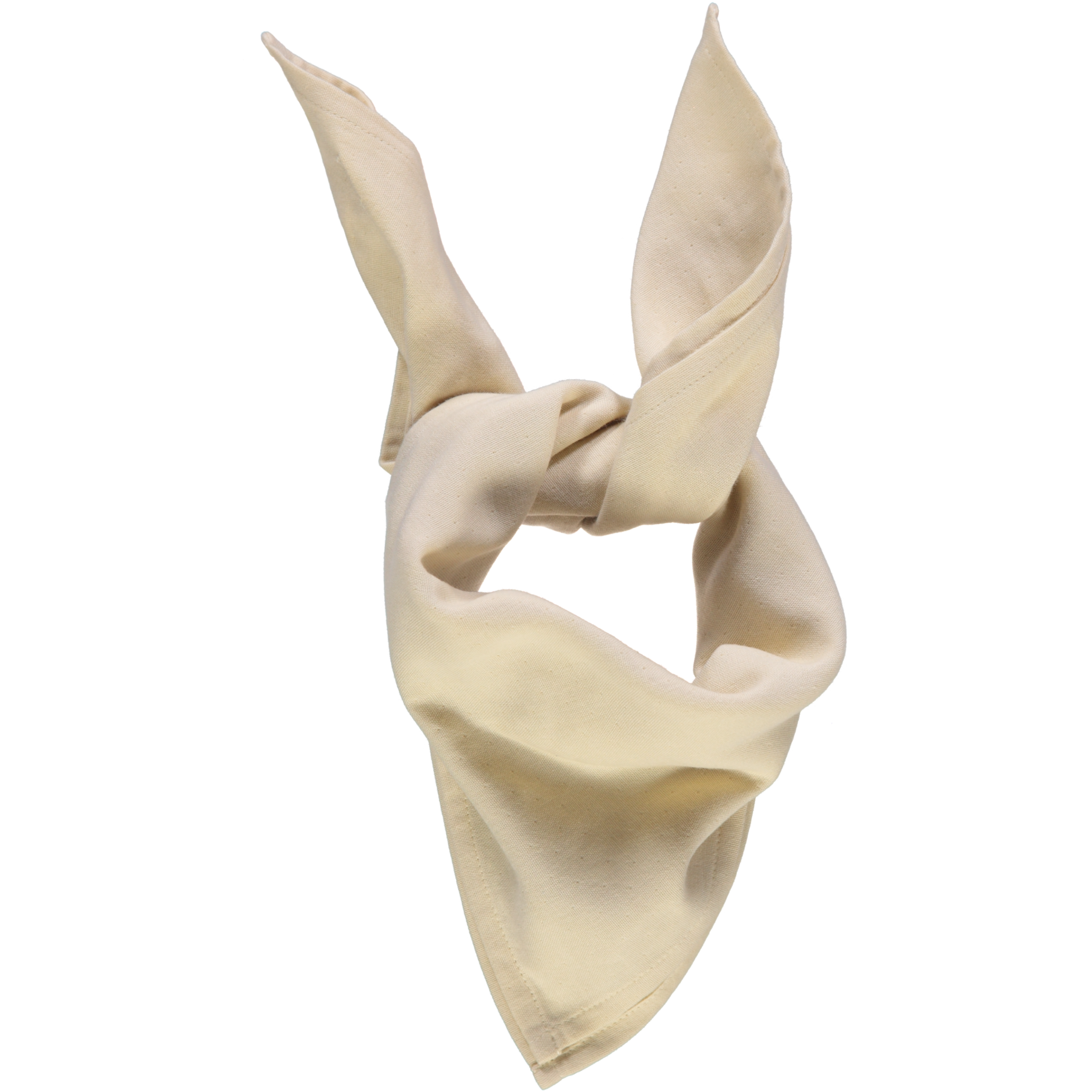 poudre organic FOULARD JACINTHE Biscotti