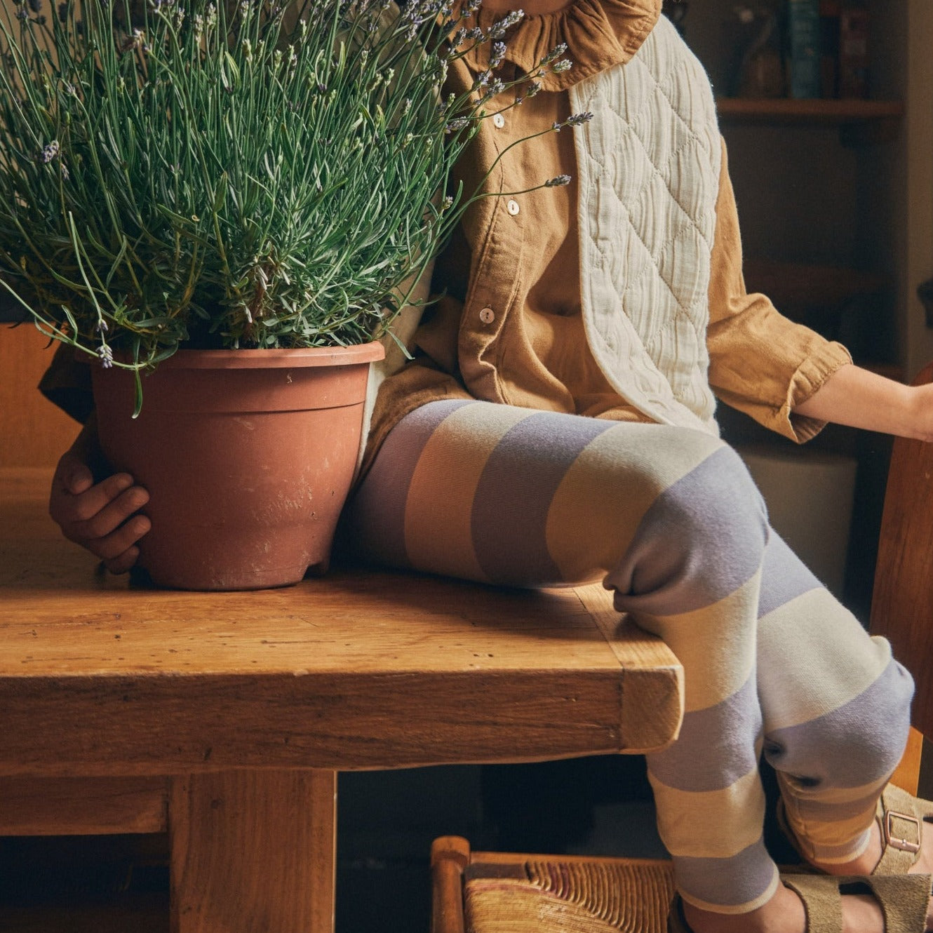 Poudre Organic LEGGINGS BASILIC Rayures Lavender