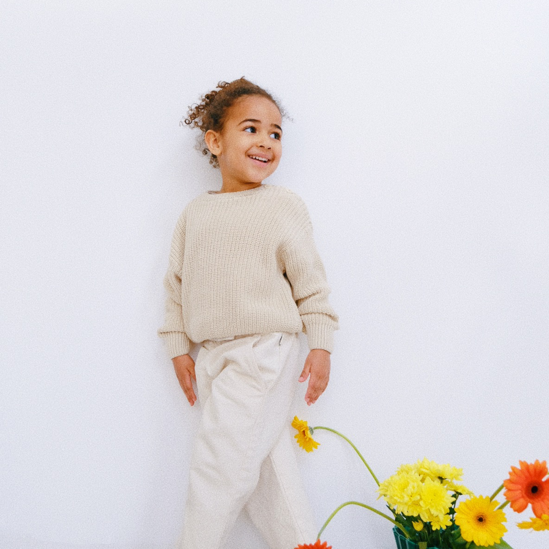 Poudre Organic PULL PISSENLIT COTON Almond Milk