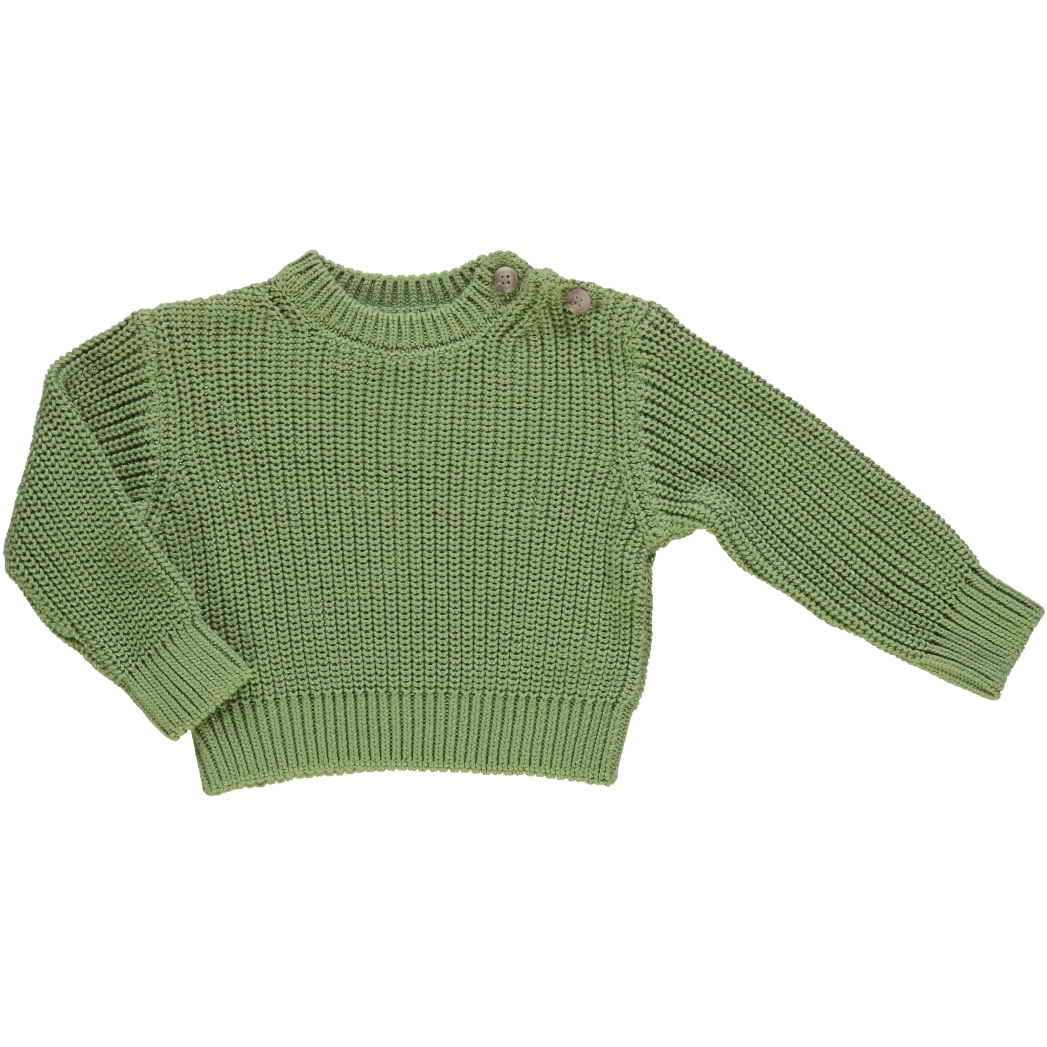 Poudre Organic PULL PISSENLIT COTON Artichaut