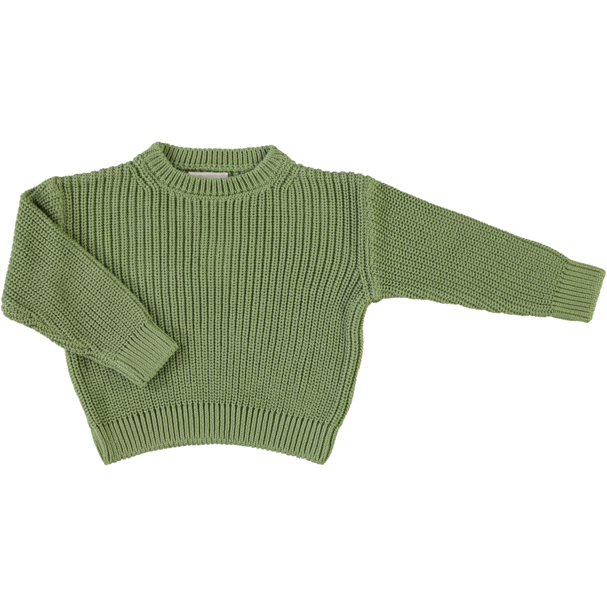 poudre organic PULL PISSENLIT COTON Artichaut