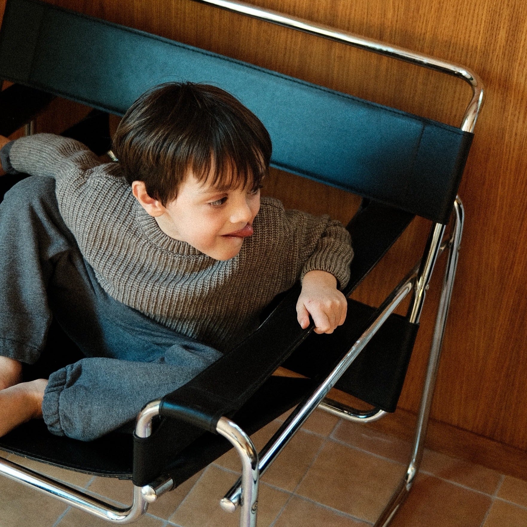 Poudre Organic PULL PISSENLIT LAINE Castor