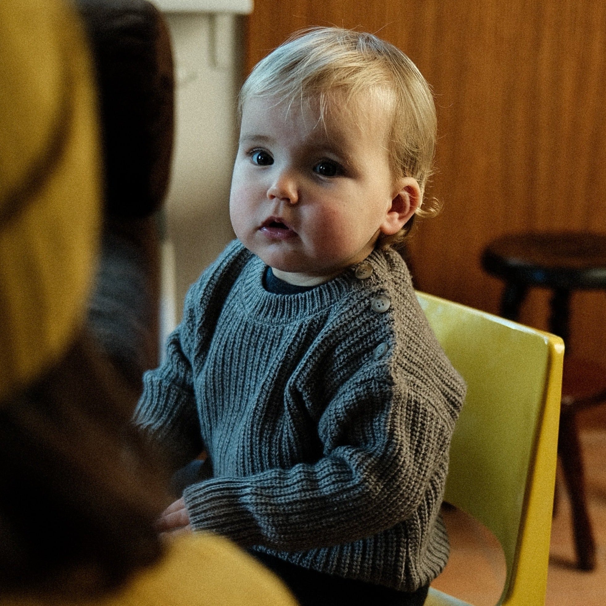 Poudre Organic PULL PISSENLIT LAINE Castor