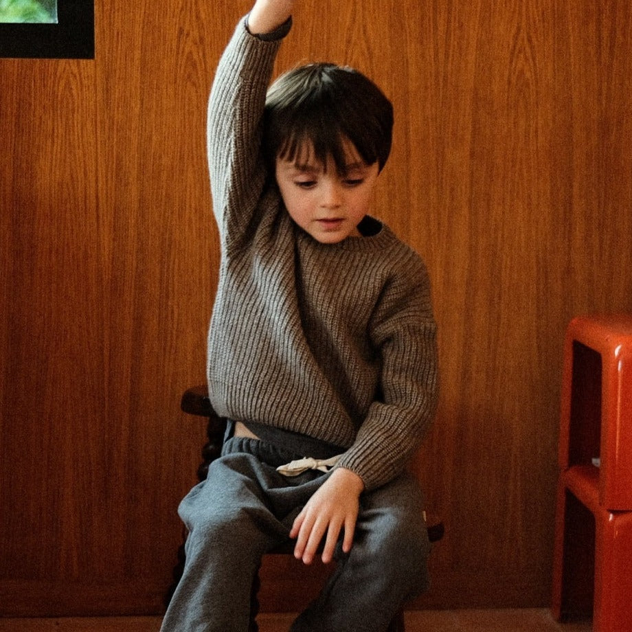 Poudre Organic PULL PISSENLIT LAINE Castor