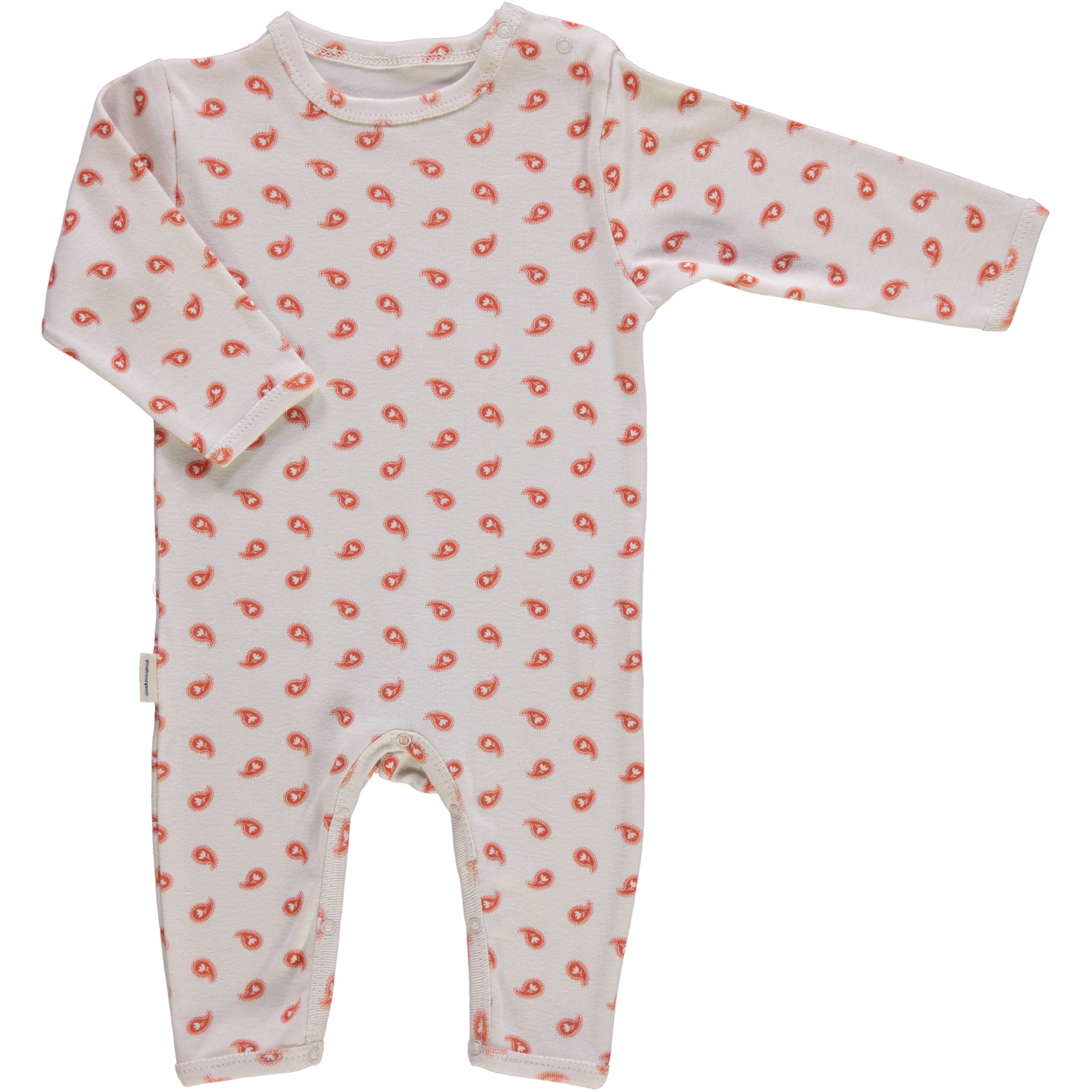 poudre organic PYJAMA ARMOISE Bandana Rooïbos Tea