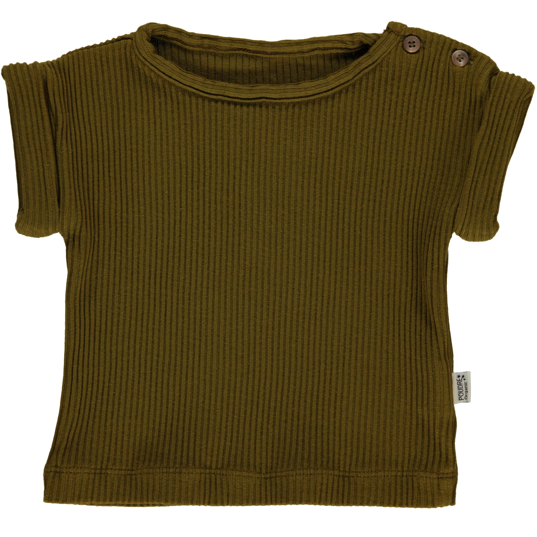 poudre organic T-SHIRT BOURRACHE CÔTELÉ Fir Green