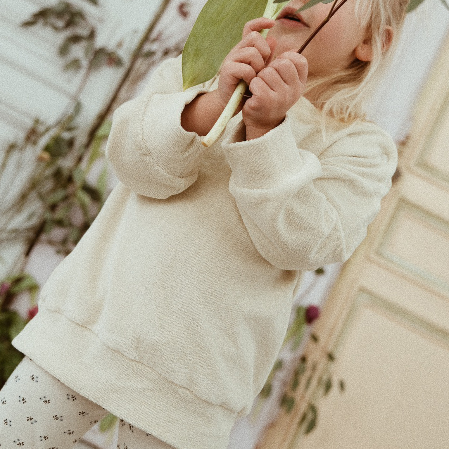 Poudre Organic SWEATSHIRT CASSANDRE ÉPONGE Almond Milk