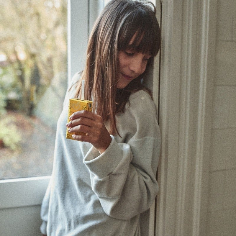 Poudre Organic SWEATSHIRT CASSANDRE ÉPONGE Lunar Rock