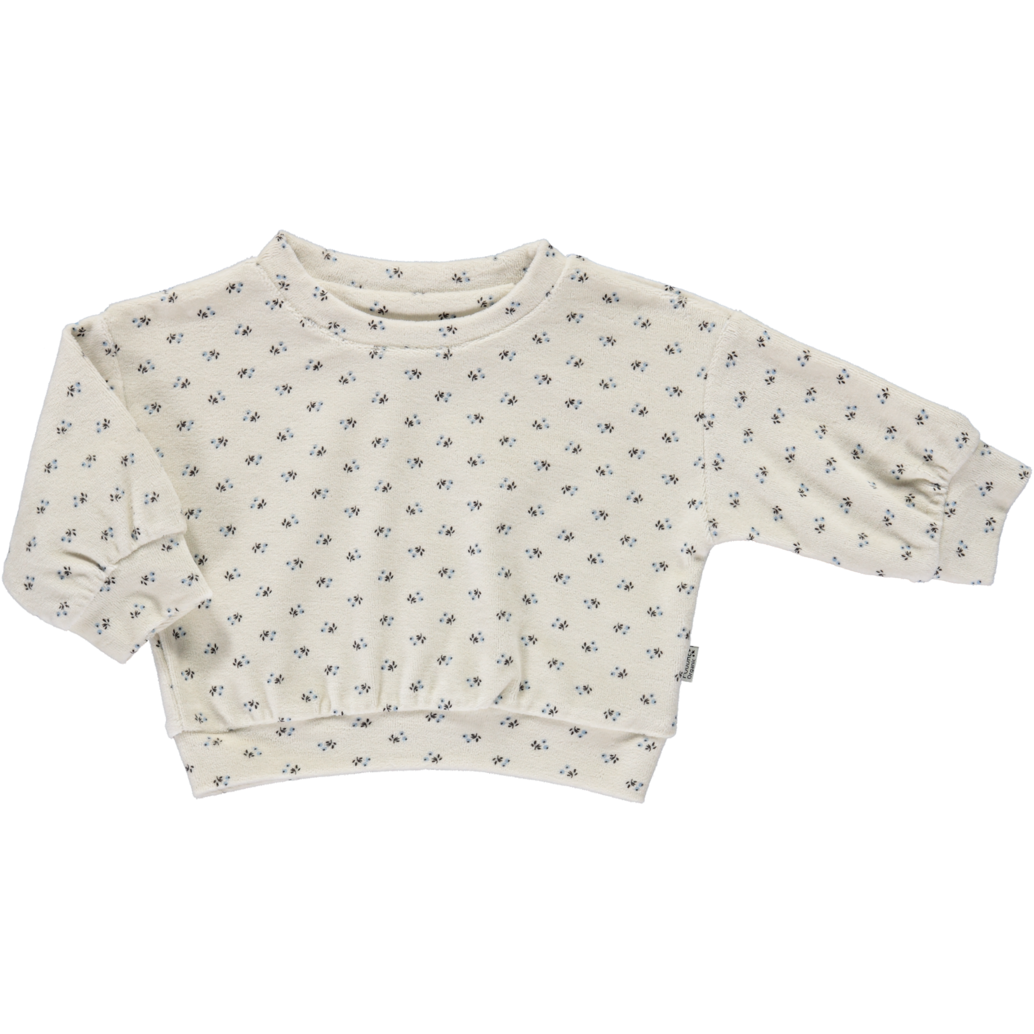 poudre organic SWEATSHIRT JOJOBA VELOURS Hors Saison Blue Surf