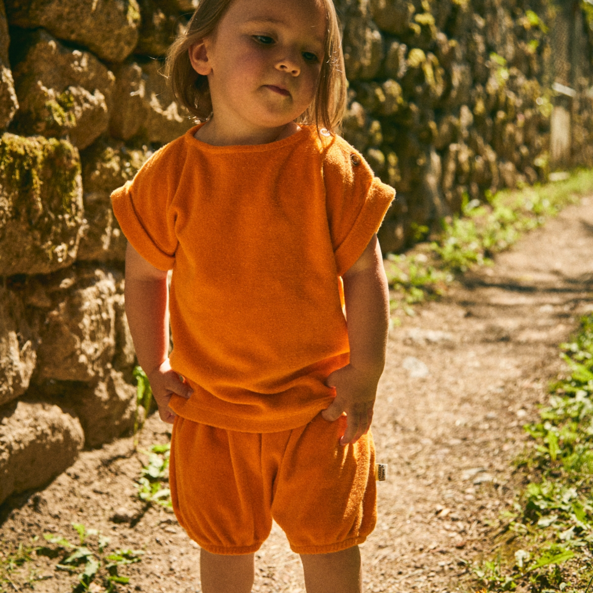 Poudre Organic T-SHIRT LAURIER ÉPONGE Russet Orange