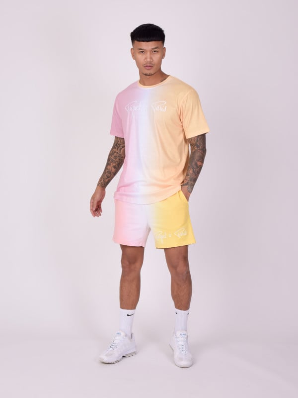 Project X Paris Short Bicolore Dégradé