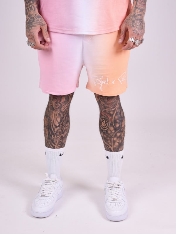 Project X Paris Short Bicolore Dégradé