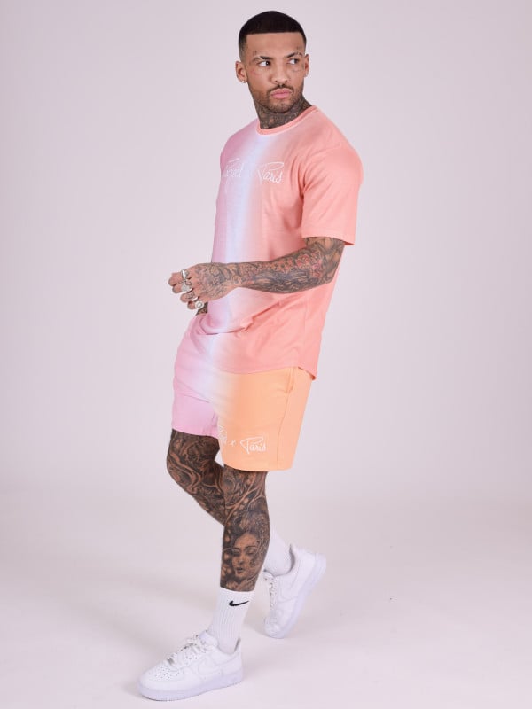 Project X Paris Short Bicolore Dégradé