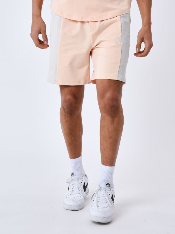 Project X Paris Short Colorblock