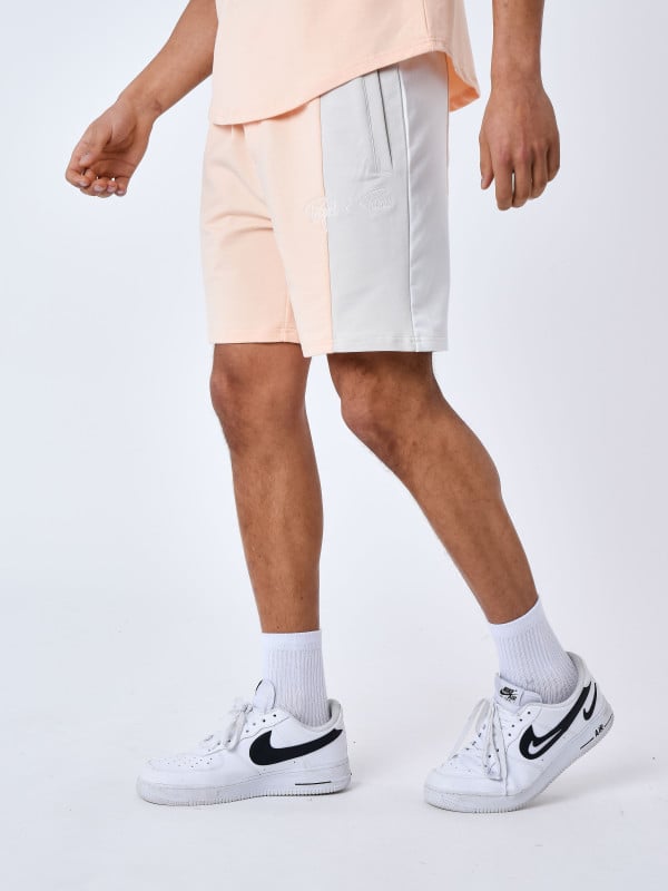 Project X Paris Short Colorblock