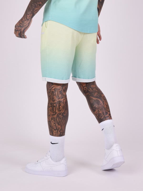 Project X Paris Short Dégradé Style Maille