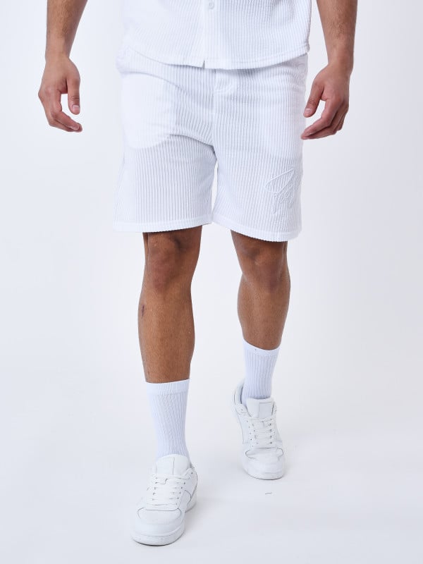 Project X Paris Short Seersucker