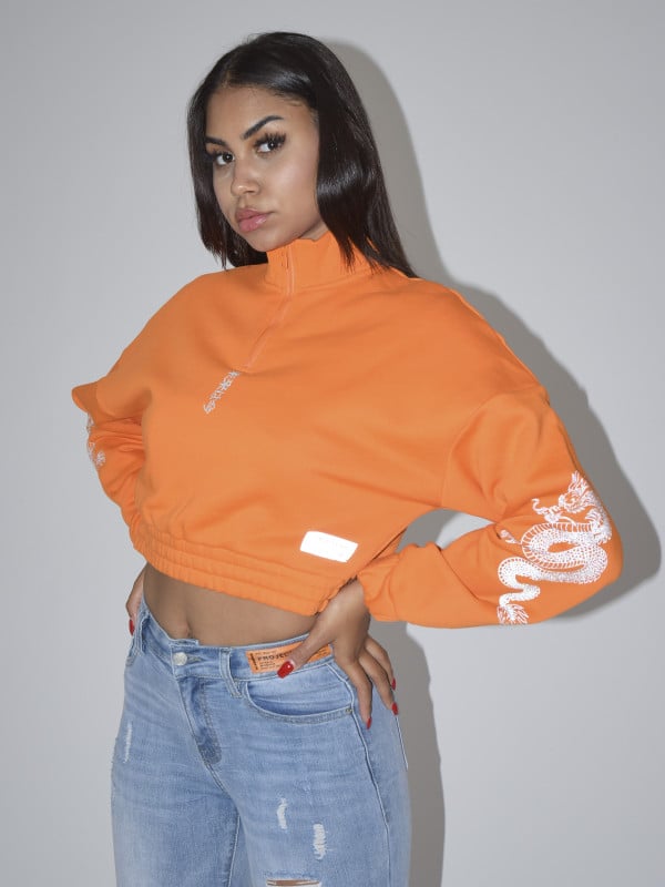 Project X Paris Sweater Col Montant Zippé Dragons