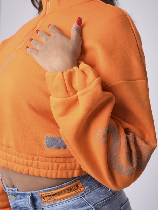 Project X Paris Sweater Col Montant Zippé Dragons