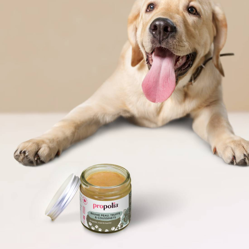 Propolia Baume Peau Et Coussinets - Propolis Miel & Karité
