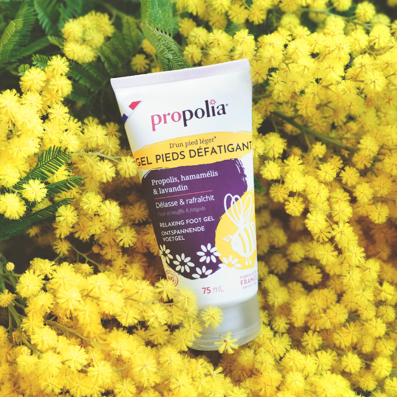 Propolia Gel Pieds Défatigant Certifié Bio Propolis Hamamélis & Lavandin
