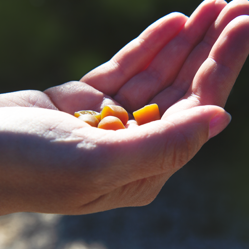 Propolia Gommes De Propolis Miel & Orange