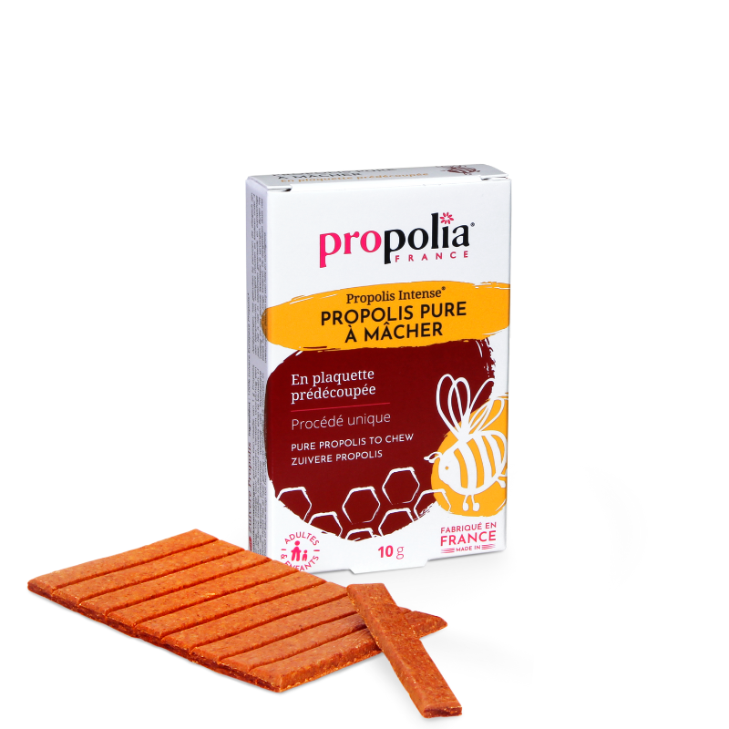 propolia Propolis pure à mâcher propolia Propolis pure à mâcher