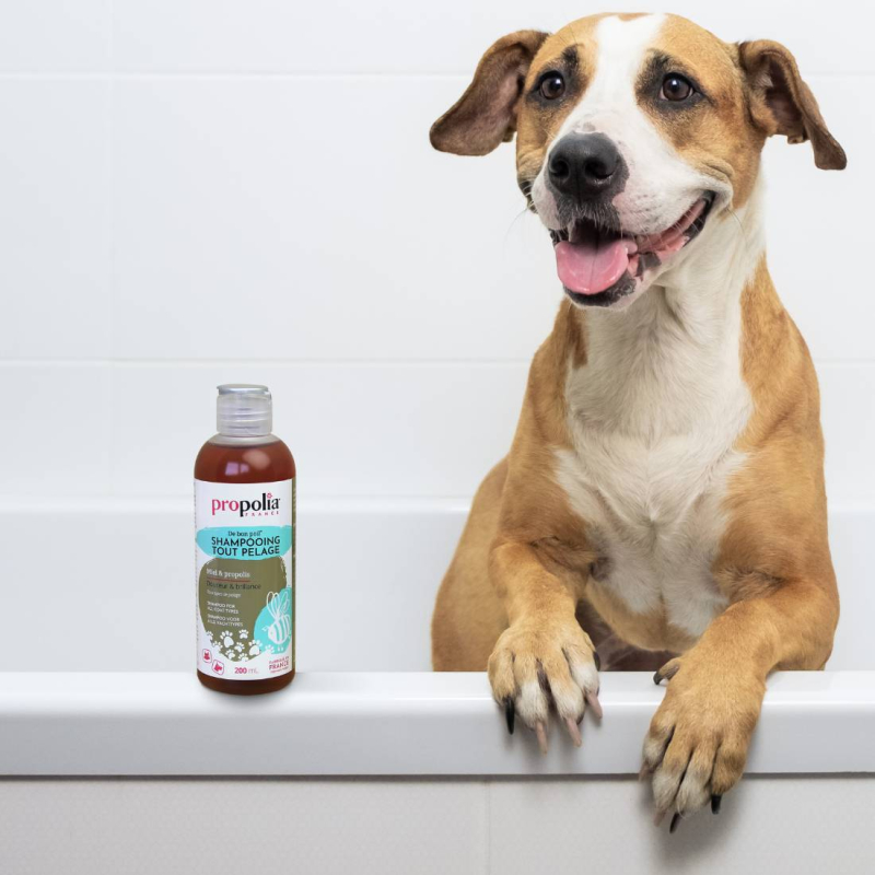 Propolia Shampoing Tout Pelage - Miel & Propolis