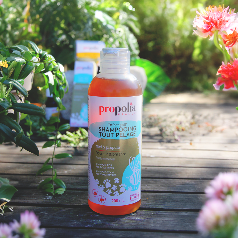 Propolia Shampoing Tout Pelage - Miel & Propolis