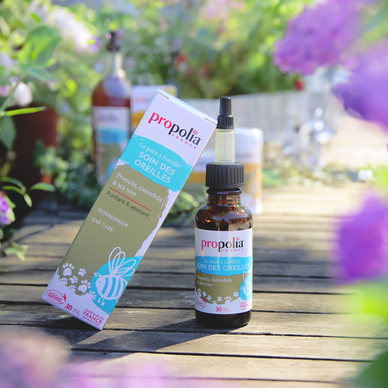 Propolia Soin Des Oreilles - Propolis Calendula & Tea Tree