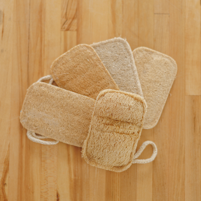 Pure Luffa éponge
