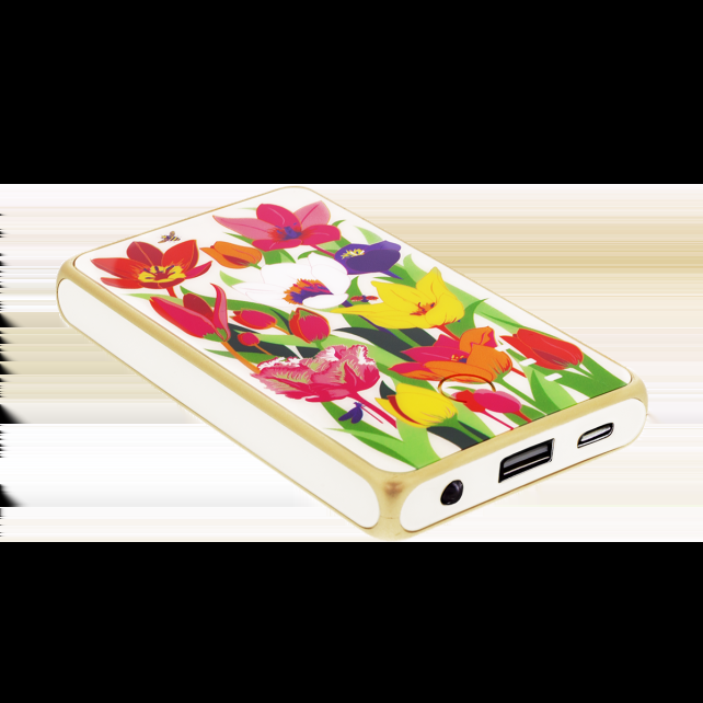 pylones Batterie externe nomade 5000mAh - Get The Power 4