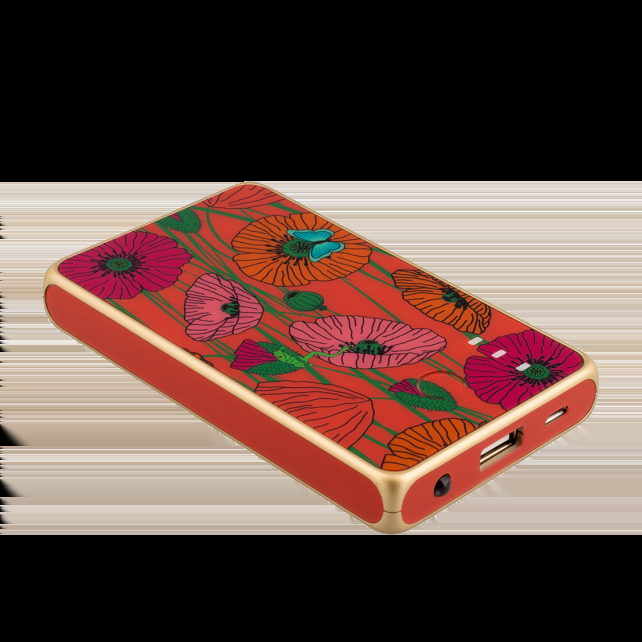 pylones Batterie externe nomade 5000mAh - Get The Power 4