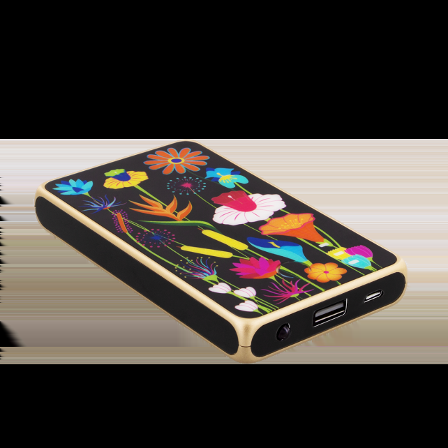 Pylones Batterie Externe Nomade 5000mAh - Get The Power 4