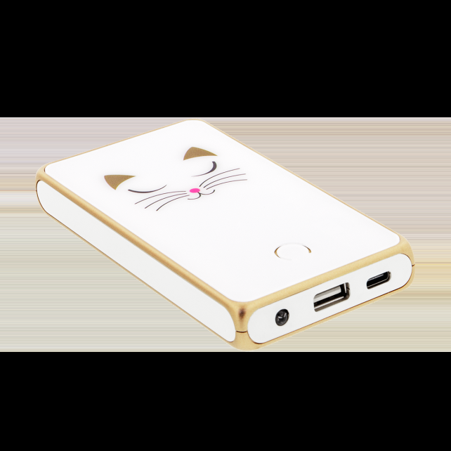 pylones Batterie externe nomade 5000mAh - Get The Power 4