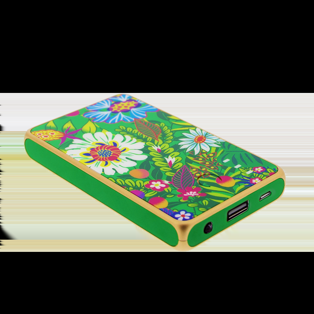 pylones Batterie externe nomade 5000mAh - Get The Power 4