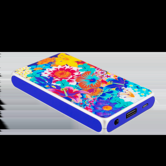 pylones Batterie externe nomade 5000mAh - Get The Power 4