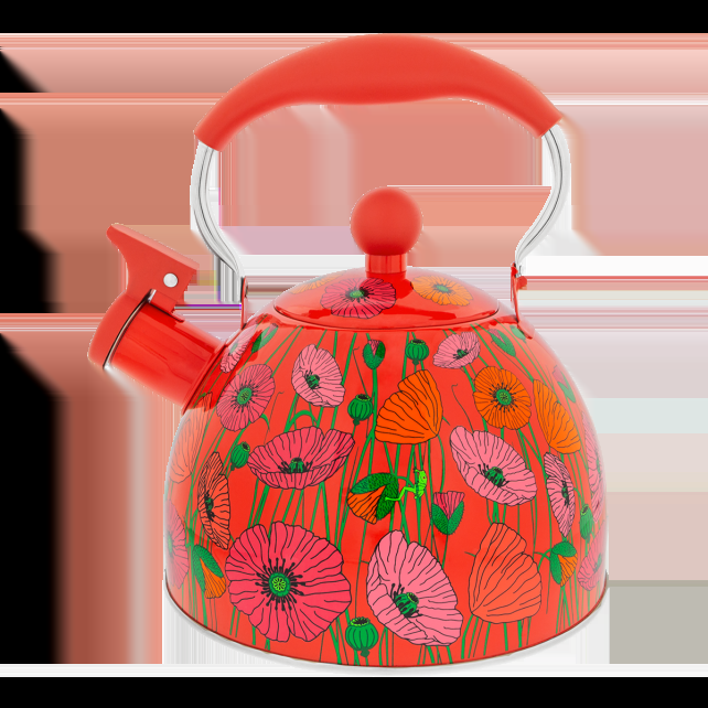 pylones Bouilloire 1 8 L - Sifflothé